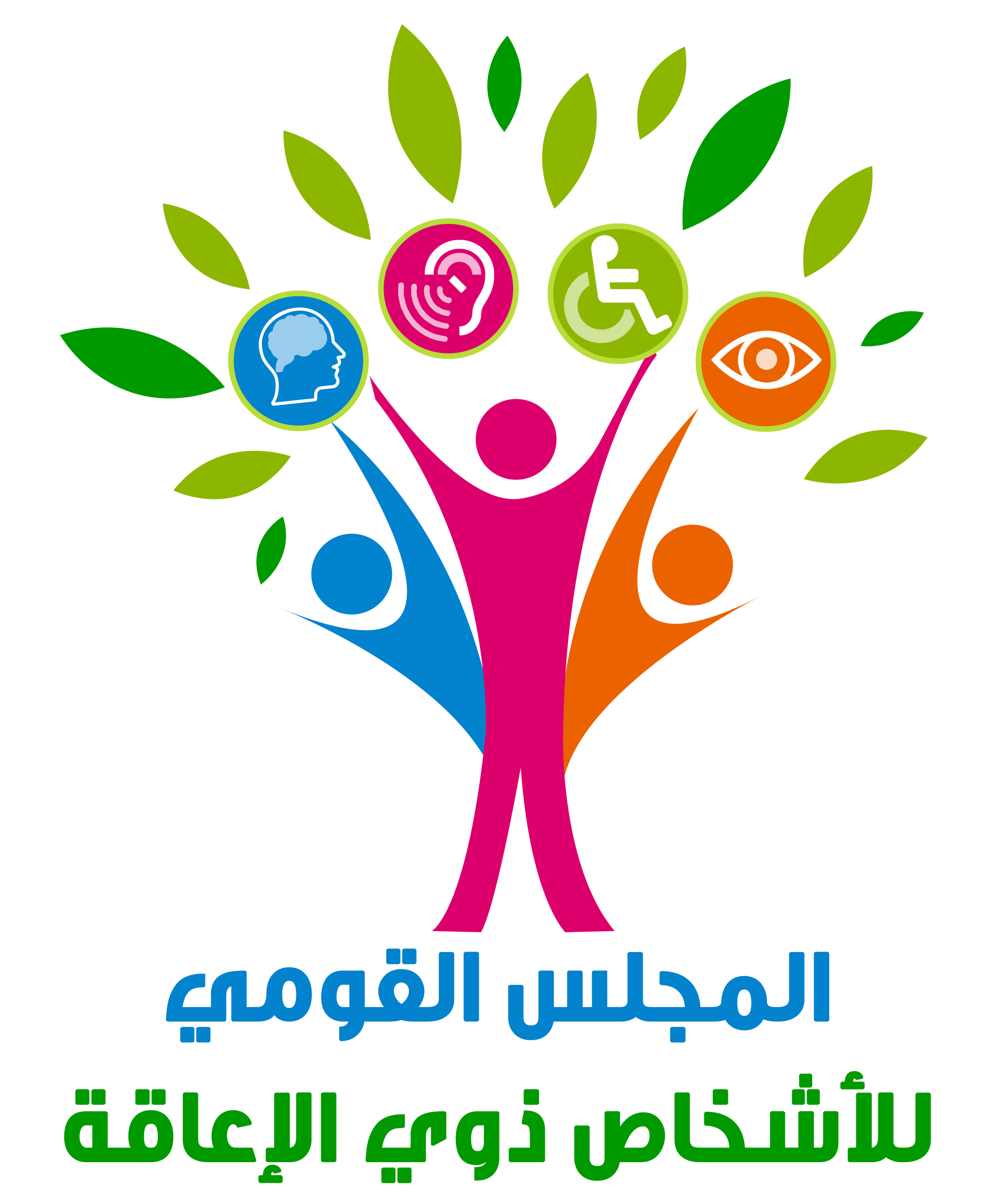 المجلس القومي للأشخاص ذوي الإعاقة